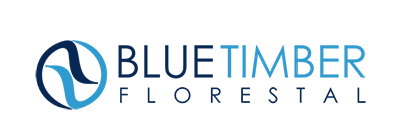 logo-blue